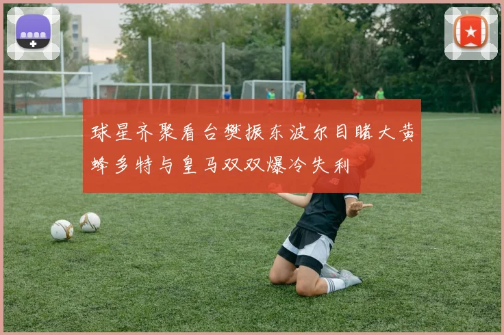 球星齐聚看台樊振东波尔目睹大黄蜂多特与皇马双双爆冷失利