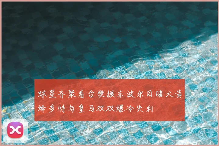 球星齐聚看台樊振东波尔目睹大黄蜂多特与皇马双双爆冷失利